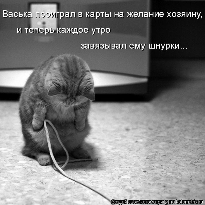 Котоматрица: Васька проиграл в карты на желание хозяину, и теперь каждое утро завязывал ему шнурки...