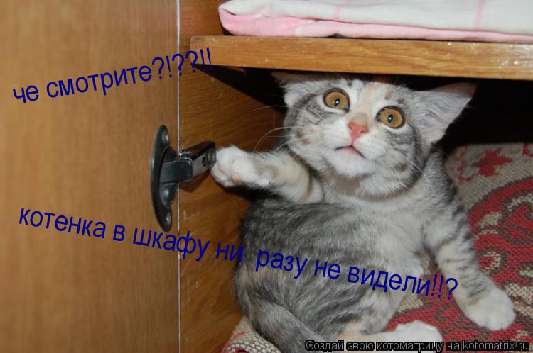 Котоматрица: че смотрите?!??!!  котенка в шкафу ни  разу не видели!!?