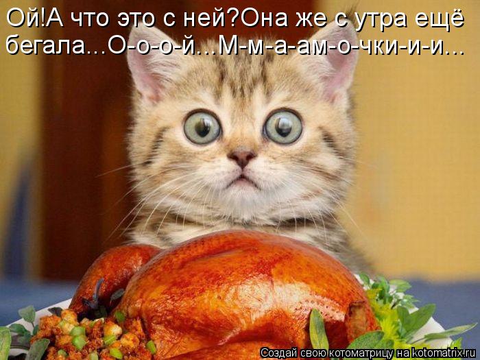 Ой!А что это с ней?Она же с утра ещё бегала...О-о-о-й...М-м-а-ам-о-чки-и-и...... Котоматрица: Ой!А что это с ней?Она же с утра ещё бегала...О-о-о-й...М-м-а-ам-о-чки-и-и...