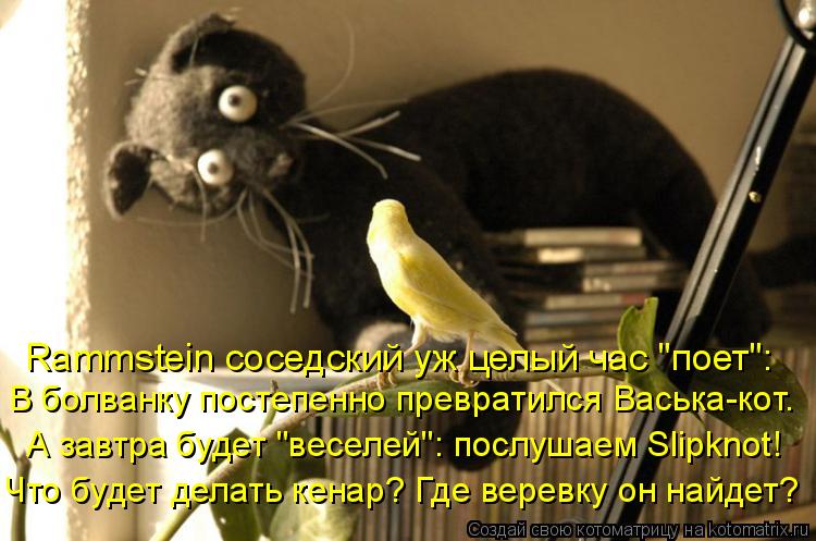 Котоматрица: Rammstein соседский уж целый час "поет": В болванку постепенно превратился Васька-кот. А завтра будет "веселей": послушаем Slipknot! Что будет делать 
