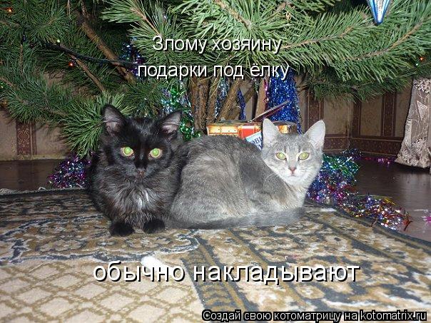 Котоматрица: Злому хозяину подарки под ёлку обычно накладывают