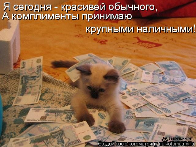 А комплименты принимаю крупными наличными! Я сегодня - красивей обычного,... Котоматрица: А комплименты принимаю крупными наличными! Я сегодня - красивей обычного,