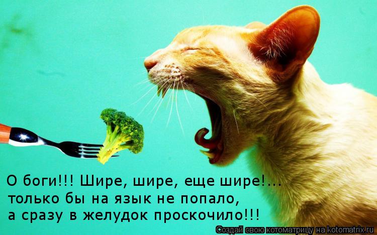 только бы на язык не попало, а сразу в желудок проскочило!!! О боги!!! Шире, шире, еще шире!...... Котоматрица: только бы на язык не попало, а сразу в желудок проскочило!!! О боги!!! Шире, шире, еще шире!...