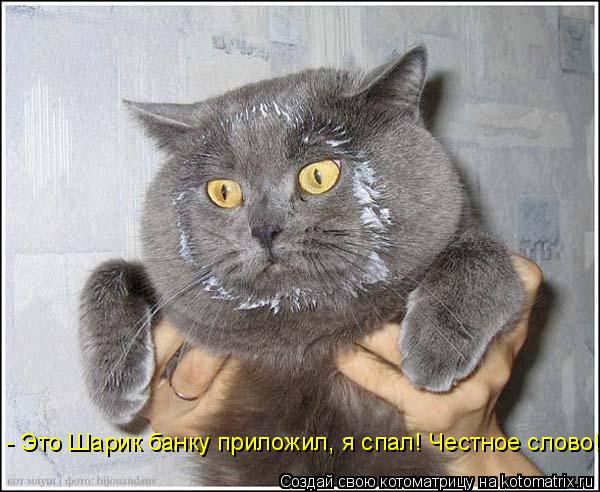 - Это Шарик банку приложил, я спал! Честное слово!... Котоматрица: - Это Шарик банку приложил, я спал! Честное слово!