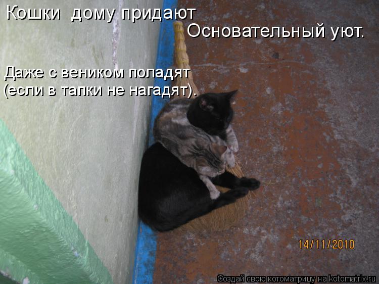 Кошки дому придают Основательный уют. Даже с веником поладят (если в тапки не нагадят).... Котоматрица: Кошки дому придают Основательный уют. Даже с веником поладят (если в тапки не нагадят).