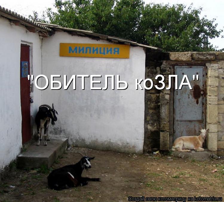 "ОБИТЕЛЬ коЗЛА"... Котоматрица: "ОБИТЕЛЬ коЗЛА"
