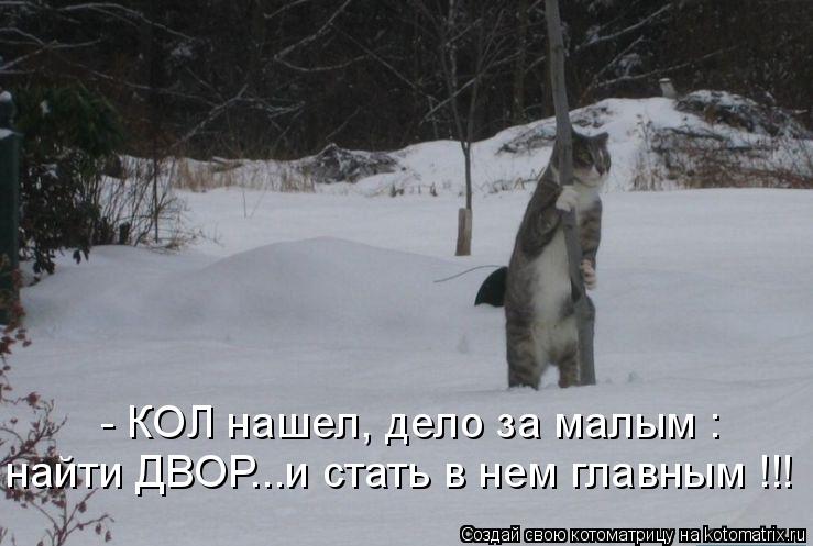 найти ДВОР...и стать в нем главным !!! - КОЛ нашел, дело за малым :... Котоматрица: найти ДВОР...и стать в нем главным !!! - КОЛ нашел, дело за малым :