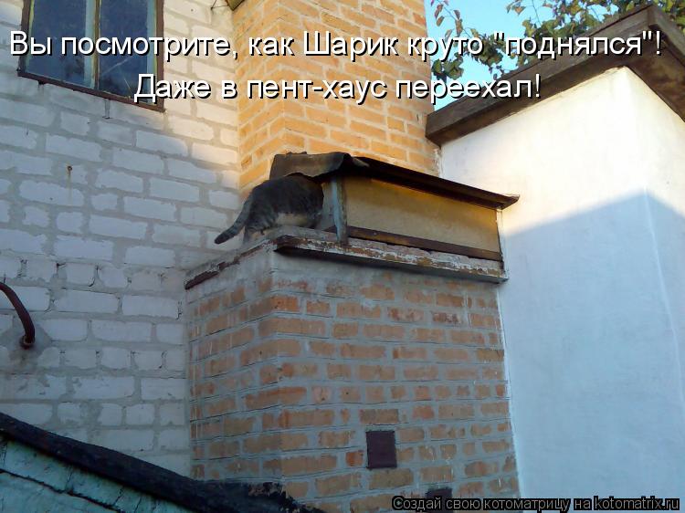 Вы посмотрите, как Шарик круто "поднялся"! Даже в пент-хаус переехал!... Котоматрица: Вы посмотрите, как Шарик круто "поднялся"! Даже в пент-хаус переехал!