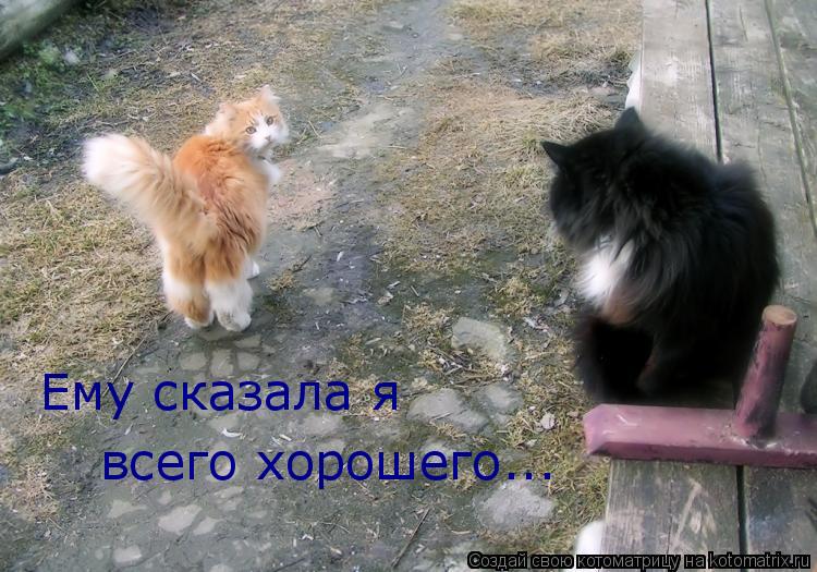 Ему сказала я всего хорошего...... Котоматрица: Ему сказала я всего хорошего...