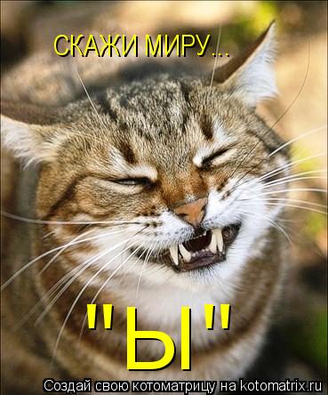 СКАЖИ МИРУ... "Ы"... Котоматрица: СКАЖИ МИРУ... "Ы"