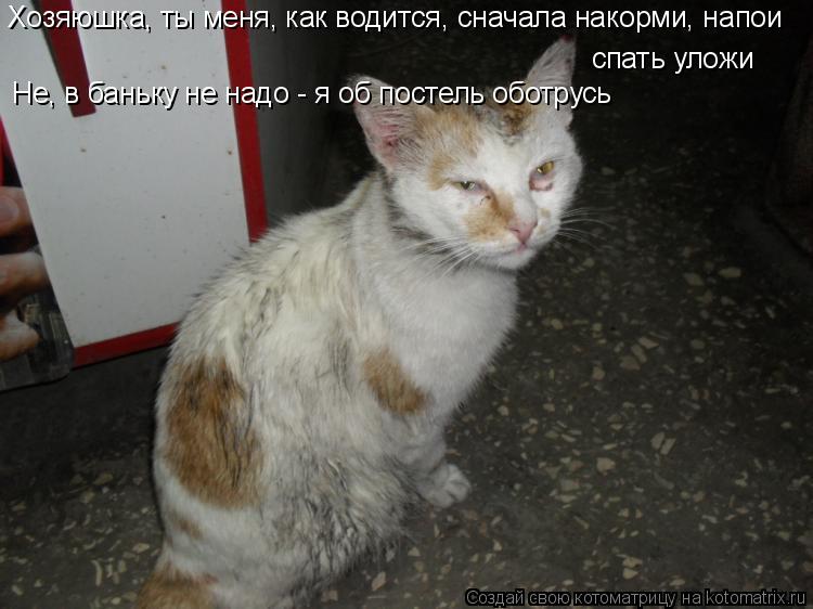 спать уложи Не, в баньку не надо - я об постель оботрусь Хозяюшка, ты меня, как водится, сначала нак... Котоматрица: спать уложи Не, в баньку не надо - я об постель оботрусь Хозяюшка, ты меня, как водится, сначала накорми, напои