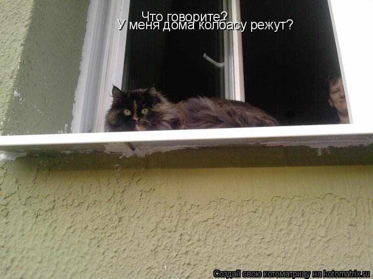Что говорите? У меня дома колбасу режут?... Котоматрица: Что говорите? У меня дома колбасу режут?