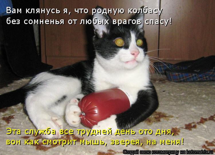 Котоматрица: вон как смотрит мышь, зверея, на меня!  Эта служба все трудней день ото дня, Вам клянусь я, что родную колбасу без сомненья от любых врагов спа