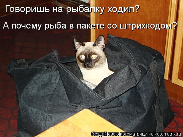 Говоришь на рыбалку ходил? А почему рыба в пакете со штрихкодом?... Котоматрица: Говоришь на рыбалку ходил? А почему рыба в пакете со штрихкодом?
