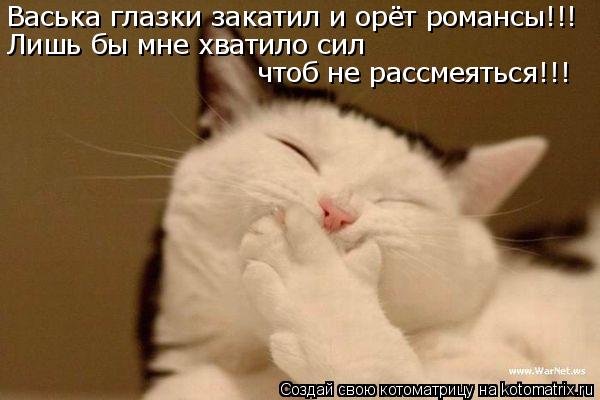 Васька глазки закатил и орёт романсы!!! Лишь бы мне хватило сил чтоб не рассмеяться!!!... Котоматрица: Васька глазки закатил и орёт романсы!!! Лишь бы мне хватило сил чтоб не рассмеяться!!!