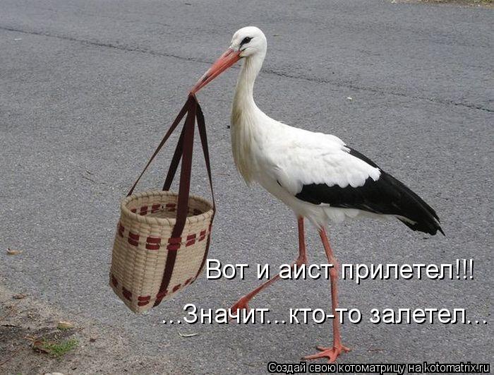 Вот и аист прилетел!!! Вот и аист прилетел!!! ...Значит...кто-то залетел...... Котоматрица: Вот и аист прилетел!!! Вот и аист прилетел!!! ...Значит...кто-то залетел...