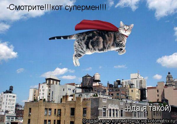 Котоматрица: -Смотрите!!!кот супермен!!! -нда я такой)