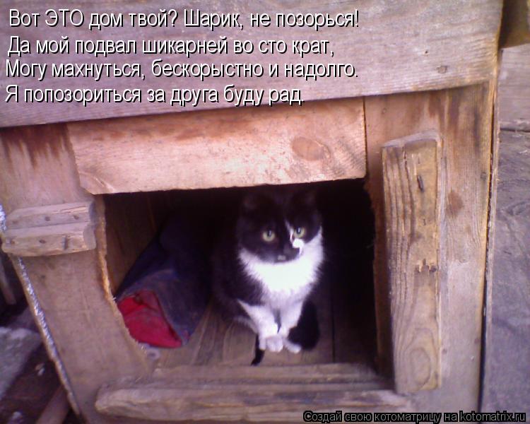 Вот ЭТО дом твой? Шарик, не позорься! Да мой подвал шикарней во сто крат, Могу махнуться, бескорыстно... Котоматрица: Вот ЭТО дом твой? Шарик, не позорься! Да мой подвал шикарней во сто крат, Могу махнуться, бескорыстно и надолго. Я попозориться за друга буду
