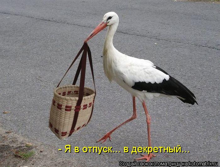 - Я в отпуск... в декретный...... Котоматрица: - Я в отпуск... в декретный...