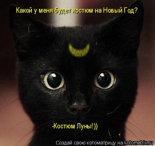 Какой у меня будет костюм на Новый Год? -Костюм Луны!))... Котоматрица: Какой у меня будет костюм на Новый Год? -Костюм Луны!))