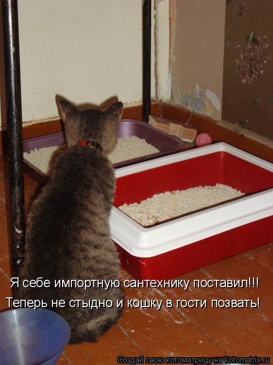 Я себе импортную сантехнику поставил!!! Теперь не стыдно и кошку в гости позвать!... Котоматрица: Я себе импортную сантехнику поставил!!! Теперь не стыдно и кошку в гости позвать!
