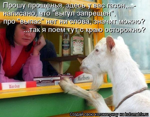 Прошу прощенья, здесь у вас газон,...- написано, что "выгул запрещен", про "выпас" нет ни слова, знач... Котоматрица: Прошу прощенья, здесь у вас газон,...- написано, что "выгул запрещен", про "выпас" нет ни слова, значит можно? ...так я поем тут с краю осторожно?