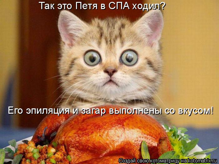 Так это Петя в СПА ходил? Его эпиляция и загар выполнены со вкусом!... Котоматрица: Так это Петя в СПА ходил? Его эпиляция и загар выполнены со вкусом!