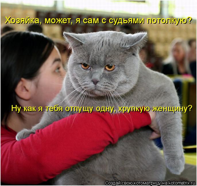 Ну как я тебя отпущу одну, хрупкую женщину? Хозяйка, может, я сам с судьями потолкую?... Котоматрица: Ну как я тебя отпущу одну, хрупкую женщину? Хозяйка, может, я сам с судьями потолкую?