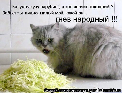 Котоматрица: - "Капусты кучу нарубил", а кот, значит, голодный ? Забыл ты, видно, милый мой, какой он... гнев народный !!!