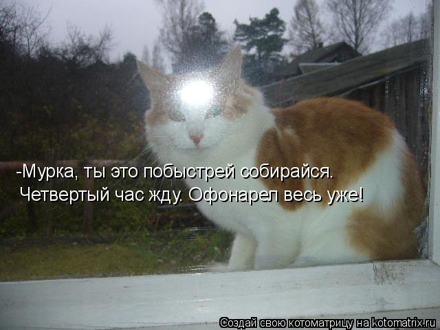 -Мурка, ты это побыстрей собирайся. Четвертый час жду. Офонарел весь уже!... Котоматрица: -Мурка, ты это побыстрей собирайся. Четвертый час жду. Офонарел весь уже!