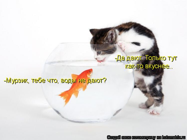 -Мурзик, тебе что, воды не дают? -Да дают. Только тут как-то вкуснее..... Котоматрица: -Мурзик, тебе что, воды не дают? -Да дают. Только тут как-то вкуснее..