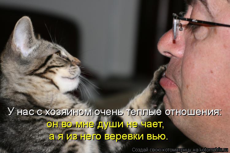У нас с хозяином очень теплые отношения: он во мне души не чает, а я из него веревки вью.... Котоматрица: У нас с хозяином очень теплые отношения: он во мне души не чает, а я из него веревки вью.