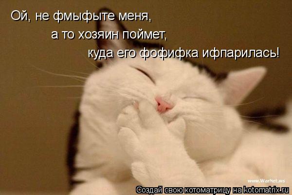 Ой, не фмыфыте меня, а то хозяин поймет, куда его фофифка ифпарилась!... Котоматрица: Ой, не фмыфыте меня, а то хозяин поймет, куда его фофифка ифпарилась!
