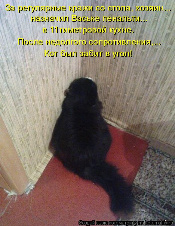 Котоматрица: За регулярные кражи со стола, хозяин... назначил Ваське пенальти... в 11тиметровой кухне. Кот был забит в угол! После недолгого сопротивления,..