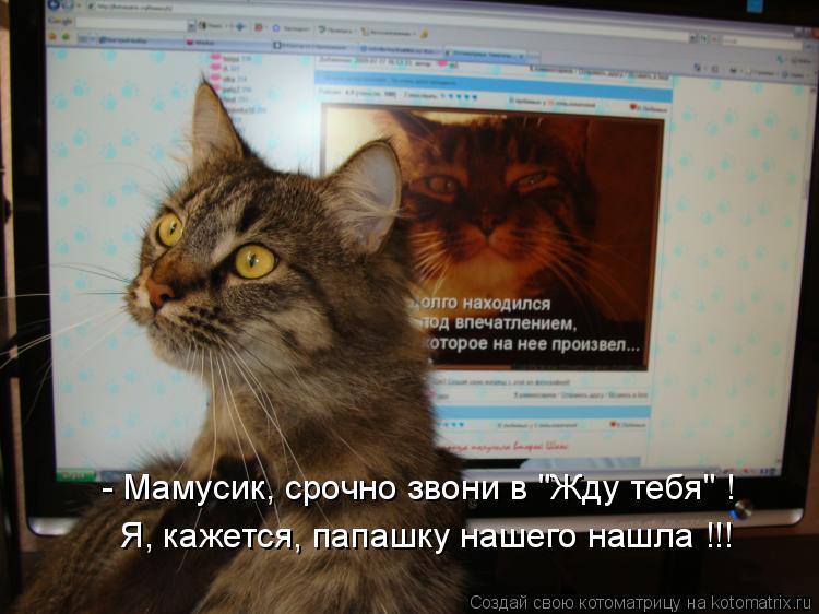 - Мамусик, срочно звони в "Жду тебя" ! Я, кажется, папашку нашего нашла !!!... Котоматрица: - Мамусик, срочно звони в "Жду тебя" ! Я, кажется, папашку нашего нашла !!!