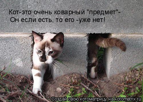Он если есть, то его -уже нет! Кот-это очень коварный "предмет"-... Котоматрица: Он если есть, то его -уже нет! Кот-это очень коварный "предмет"-