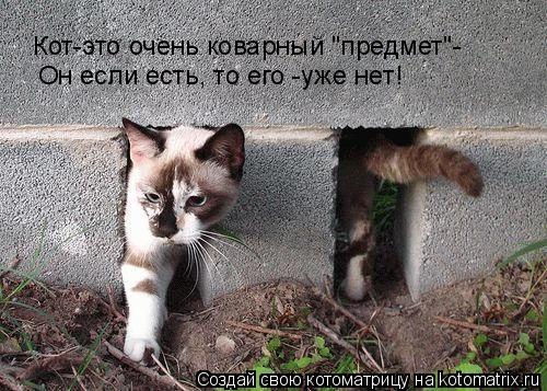 Котоматрица: Он если есть, то его -уже нет! Кот-это очень коварный "предмет"-