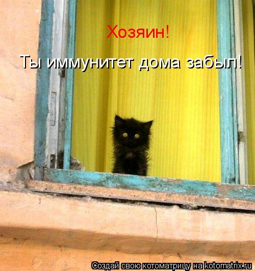 Хозяин! Ты иммунитет дома забыл!... Котоматрица: Хозяин! Ты иммунитет дома забыл!