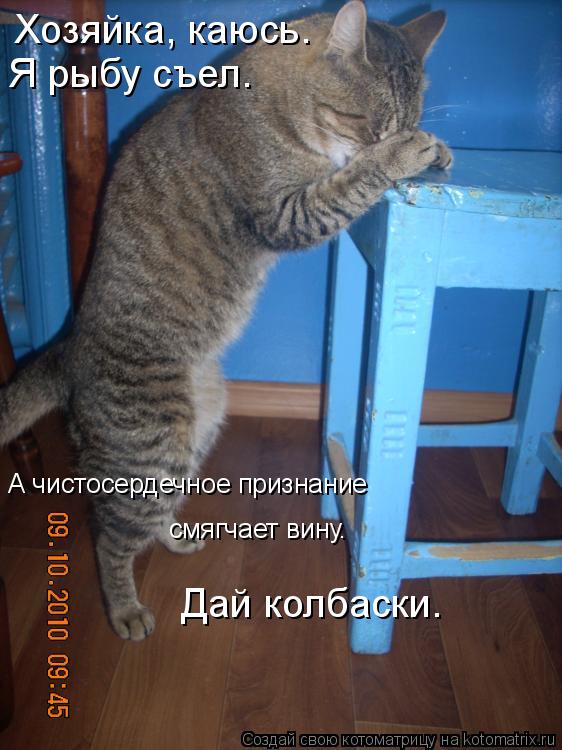 Стих про лизу смешной короткий Стих про лизу смешной короткий
