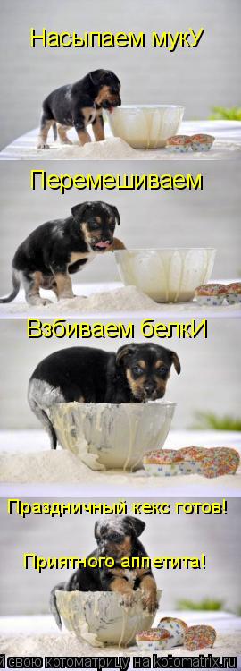 Насыпаем мукУ Перемешиваем Взбиваем белкИ Праздничный кекс готов! Приятного аппетита!... Котоматрица: Насыпаем мукУ Перемешиваем Взбиваем белкИ Праздничный кекс готов! Приятного аппетита!