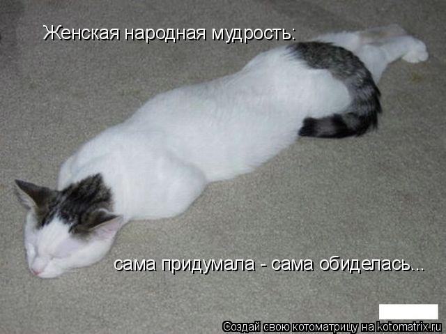 Женская народная мудрость: сама придумала - сама обиделась...... Котоматрица: Женская народная мудрость: сама придумала - сама обиделась...