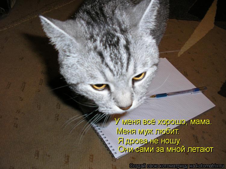 У меня всё хорошо, мама. Меня муж любит. Я дрова не ношу. Они сами за мной летают... Котоматрица: У меня всё хорошо, мама. Меня муж любит. Я дрова не ношу. Они сами за мной летают