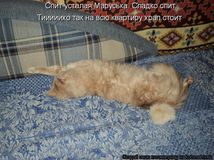 Котоматрица: Тииииихо так на всю квартиру храп стоит Спит усталая Маруська. Сладко спит.