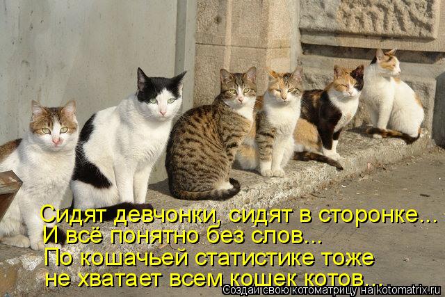 Сидят девчонки, сидят в сторонке... И всё понятно без слов... По кошачьей статистике тоже не хватает ... Котоматрица: Сидят девчонки, сидят в сторонке... И всё понятно без слов... По кошачьей статистике тоже не хватает всем кошек котов...