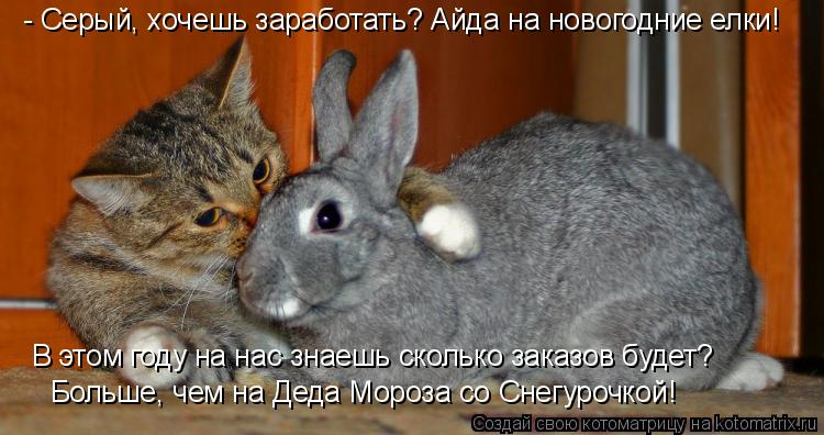 - Серый, хочешь заработать? Айда на новогодние елки! В этом году на нас знаешь сколько заказов будет?... Котоматрица: - Серый, хочешь заработать? Айда на новогодние елки! В этом году на нас знаешь сколько заказов будет? Больше, чем на Деда Мороза со Снегурочко