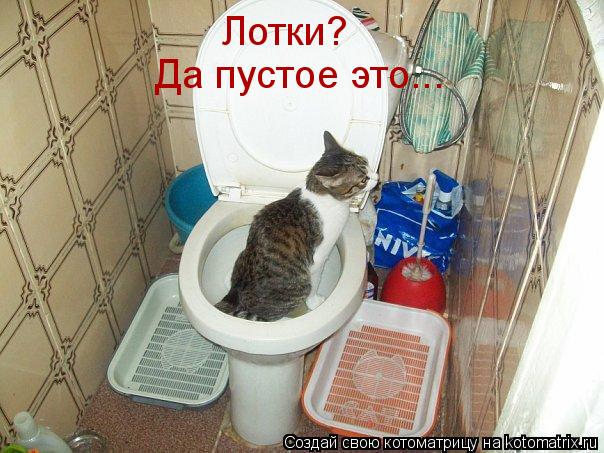 Котоматрица: Лотки? Да пустое это...