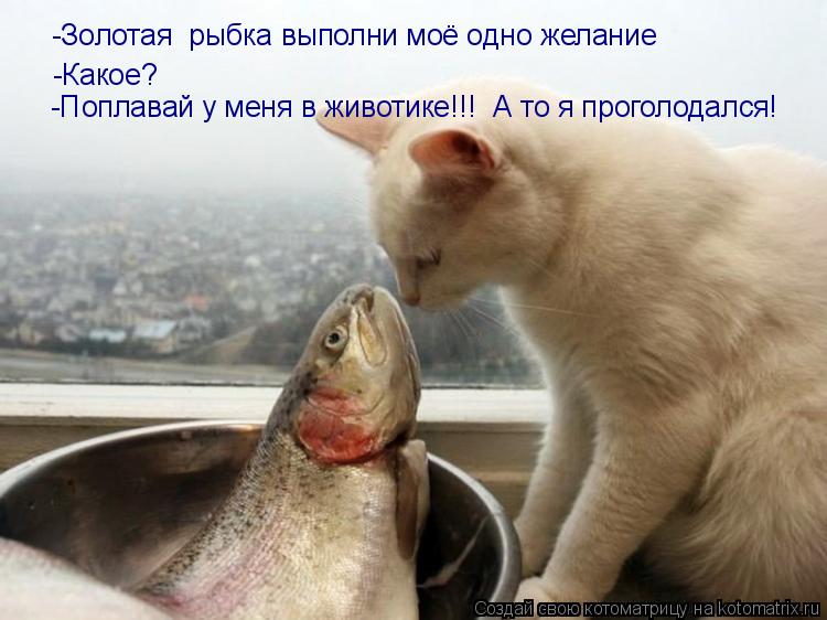 -Золотая рыбка выполни моё одно желание -Какое? -Поплавай у меня в животике!!! А то я проголодался!... Котоматрица: -Золотая рыбка выполни моё одно желание -Какое? -Поплавай у меня в животике!!! А то я проголодался!