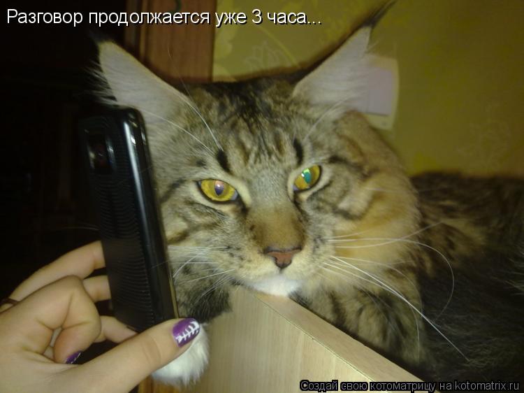 Разговор продолжается уже 3 часа...... Котоматрица: Разговор продолжается уже 3 часа...