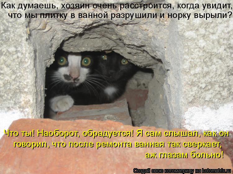 Как думаешь, хозяин очень расстроится, когда увидит, что мы плитку в ванной разрушили и норку вырыли... Котоматрица: Как думаешь, хозяин очень расстроится, когда увидит, что мы плитку в ванной разрушили и норку вырыли? Что ты! Наоборот, обрадуется! Я сам слы