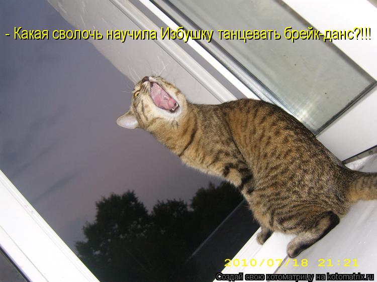- Какая сволочь научила Избушку танцевать брейк-данс?!!!... Котоматрица: - Какая сволочь научила Избушку танцевать брейк-данс?!!!